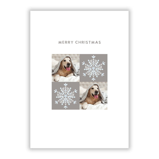 Christmas Dog Photo A5 Flat Greetings Card