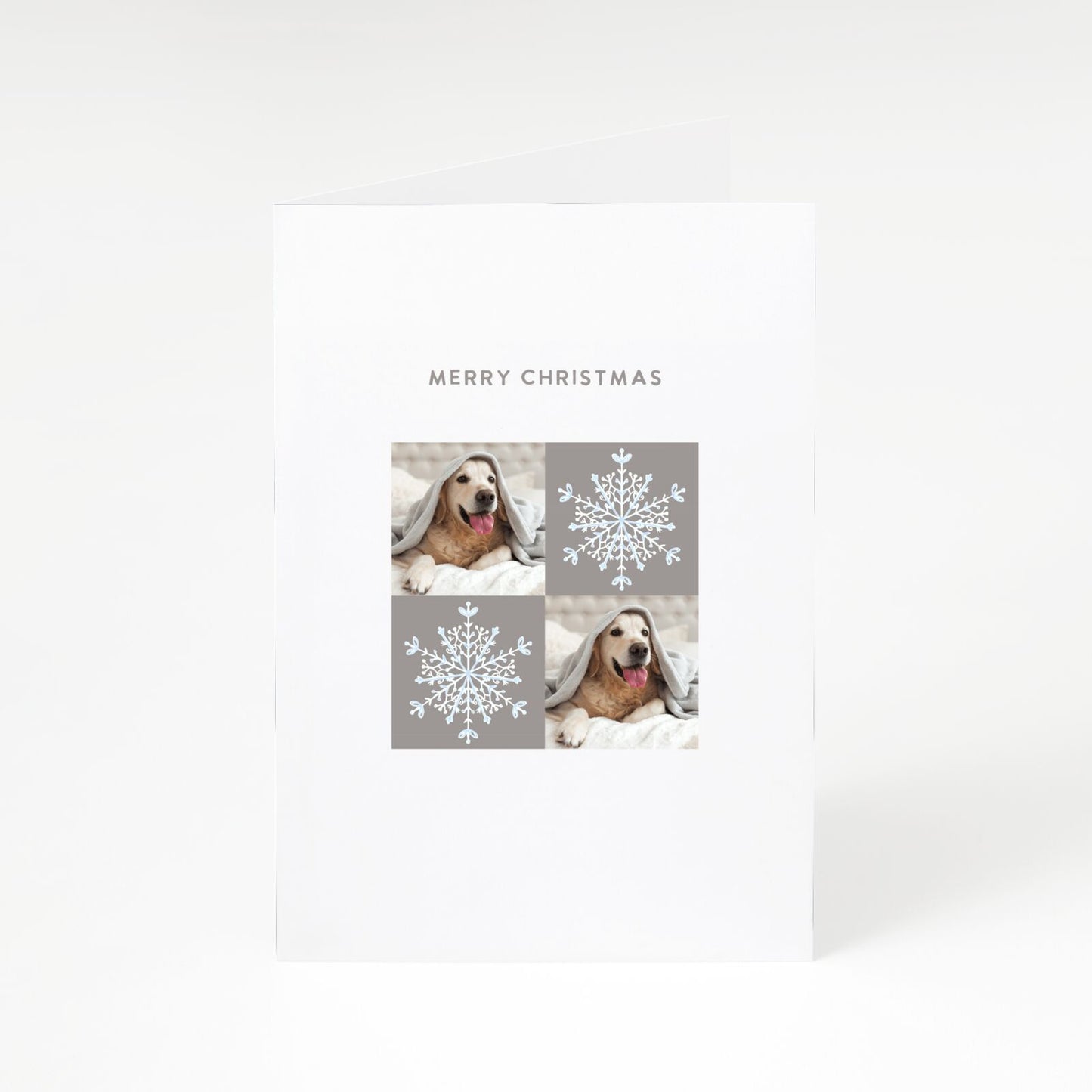 Christmas Dog Photo A5 Greetings Card