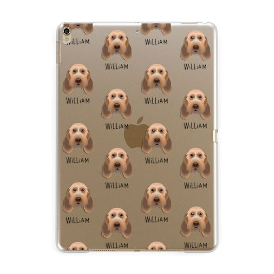 Italian Spinone Icon with Name Apple iPad Gold Case
