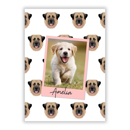 Personalised Dog Photo A5 Flat Greetings Card