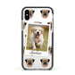 Personalised Dog Photo Apple iPhone Xs Impact Case Black Edge on Silver Phone