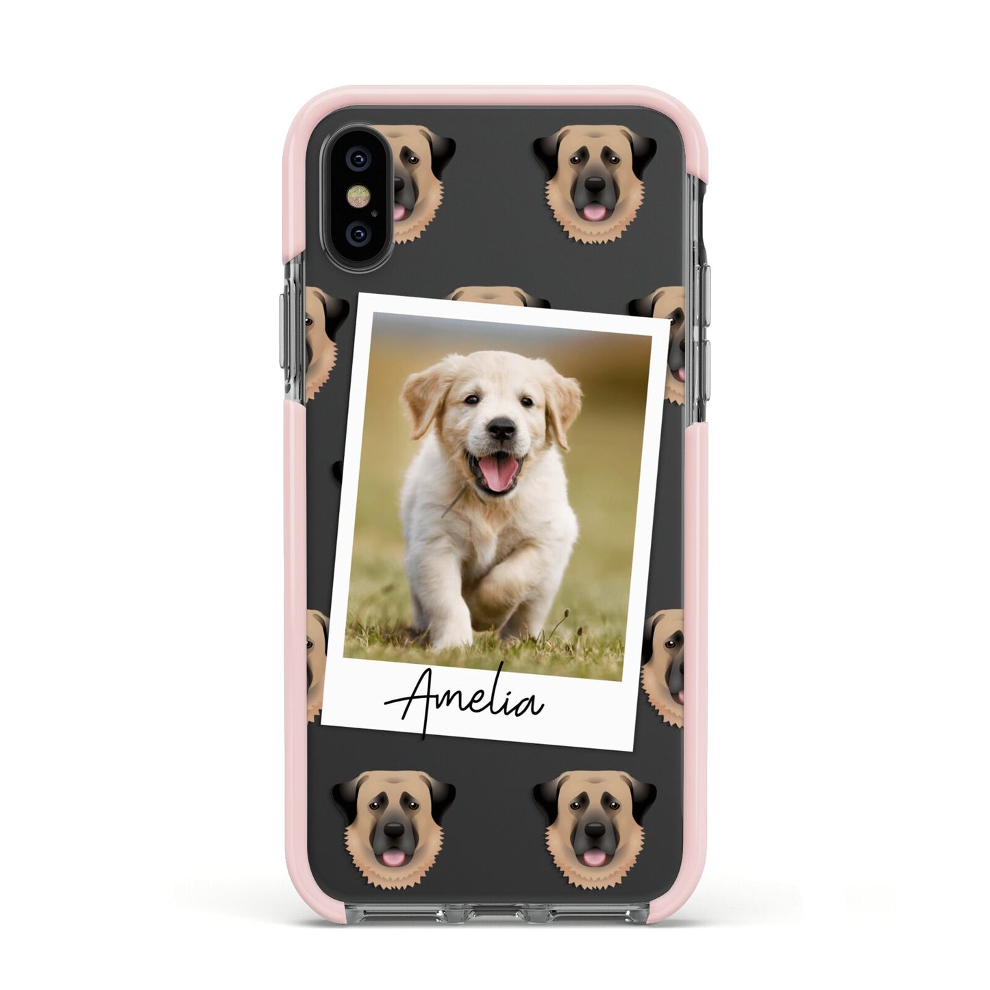 Personalised Dog Photo Apple iPhone Xs Impact Case Pink Edge on Black Phone