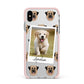 Personalised Dog Photo Apple iPhone Xs Max Impact Case Pink Edge on Silver Phone