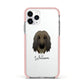 Afghan Hound Personalised Apple iPhone 11 Pro in Silver with Pink Impact Case