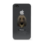 Afghan Hound Personalised Apple iPhone 4s Case