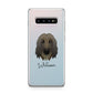 Afghan Hound Personalised Samsung Galaxy S10 Plus Case