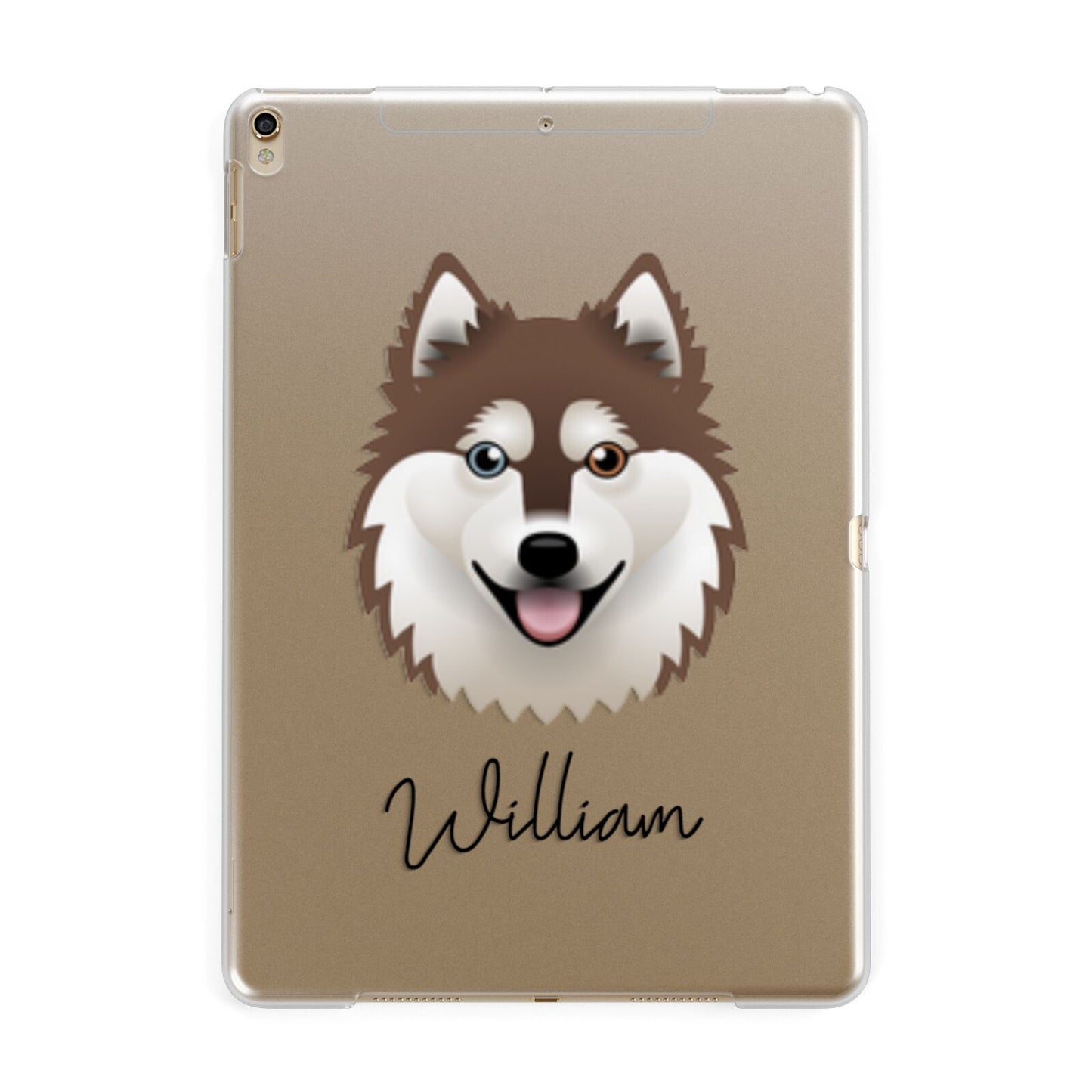 Alaskan Klee Kai Personalised Apple iPad Gold Case