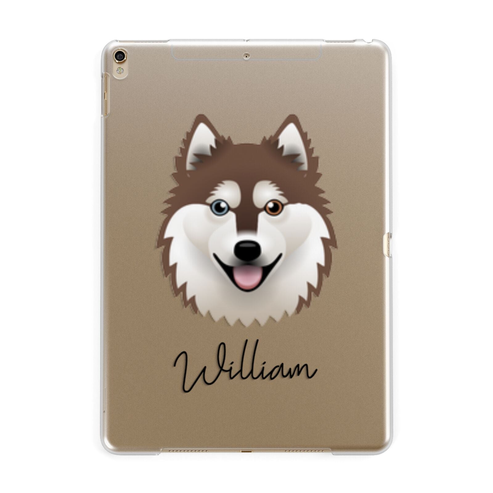 Alaskan Klee Kai Personalised Apple iPad Gold Case
