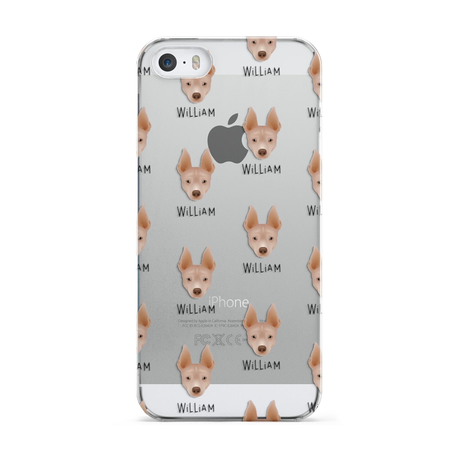 American Hairless Terrier Icon with Name Apple iPhone 5 Case
