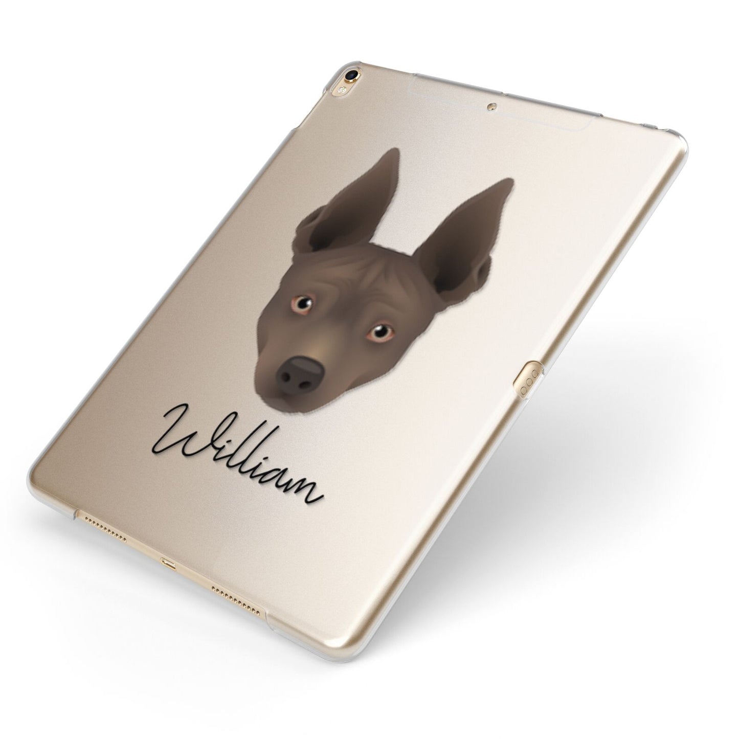 American Hairless Terrier Personalised Apple iPad Case on Gold iPad Side View