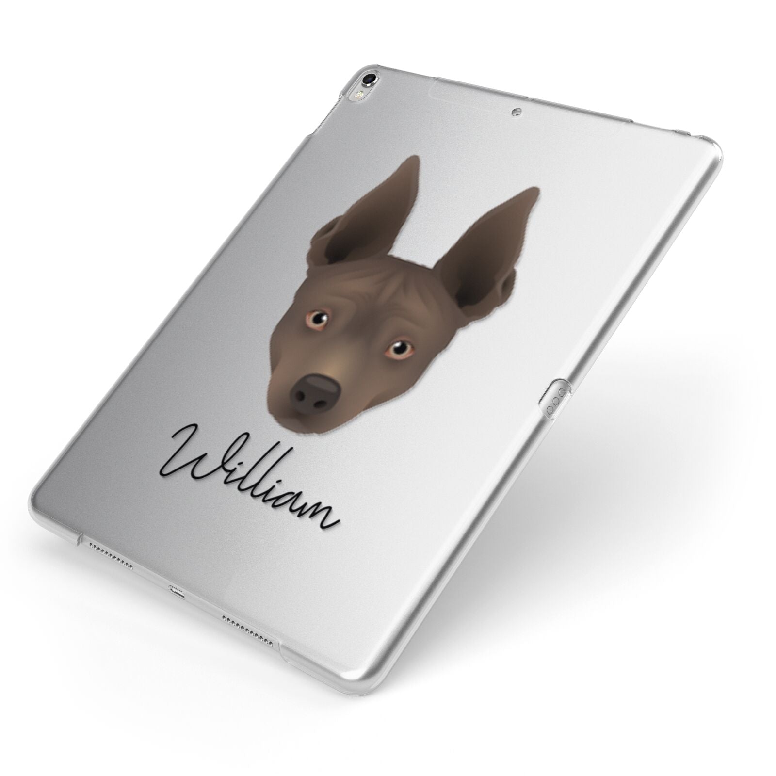 American Hairless Terrier Personalised Apple iPad Case on Silver iPad Side View