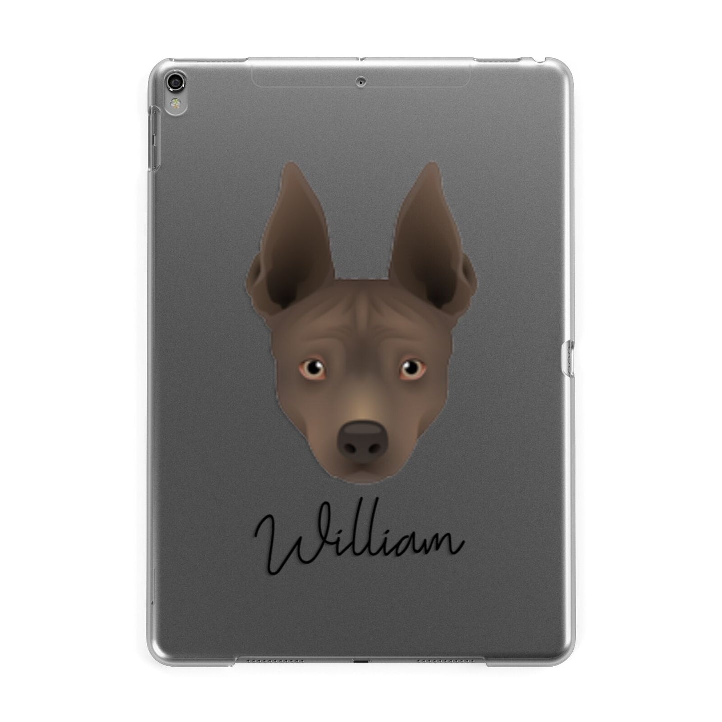 American Hairless Terrier Personalised Apple iPad Grey Case