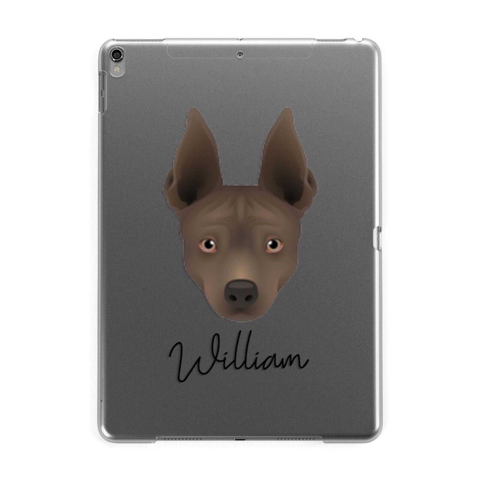 American Hairless Terrier Personalised Apple iPad Grey Case