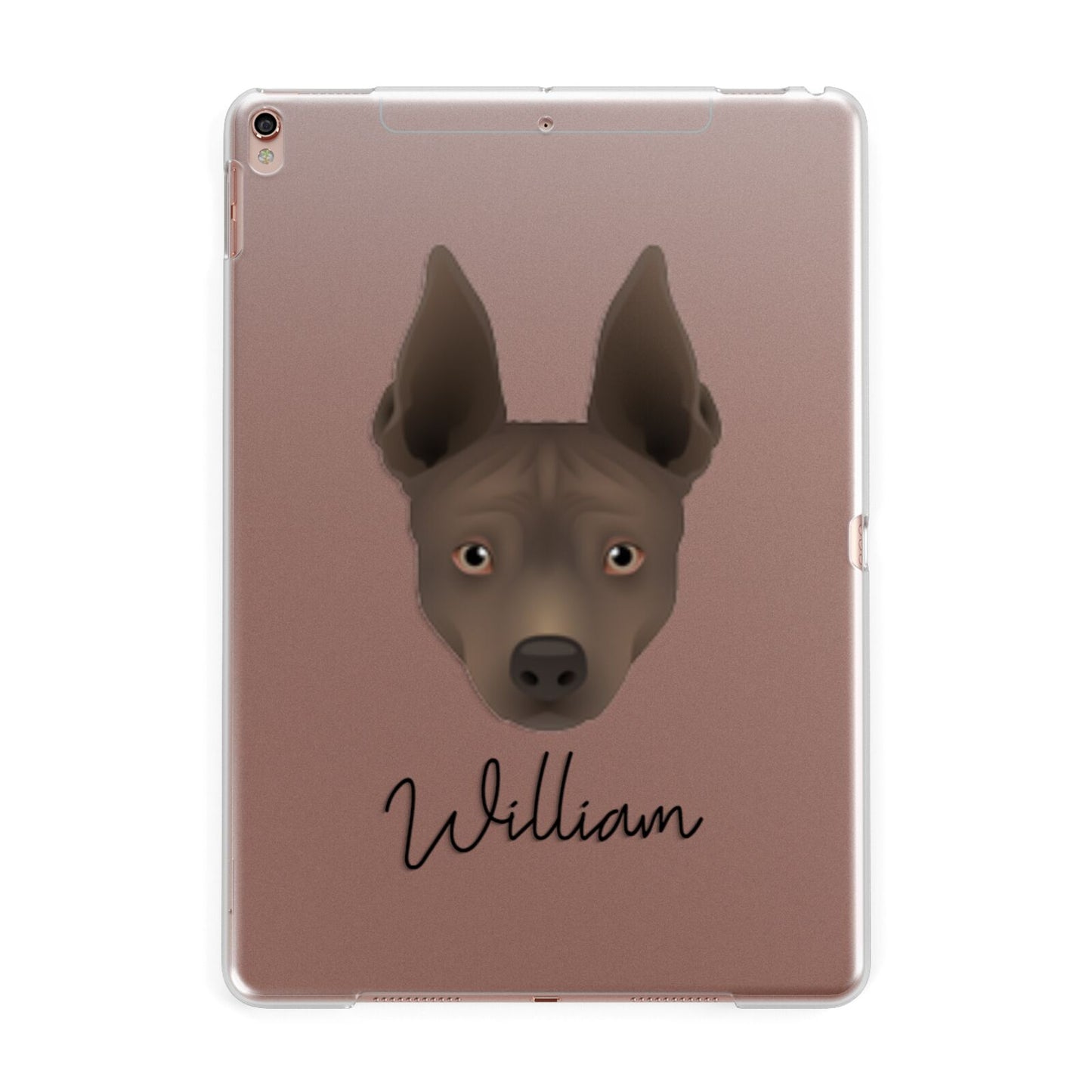 American Hairless Terrier Personalised Apple iPad Rose Gold Case