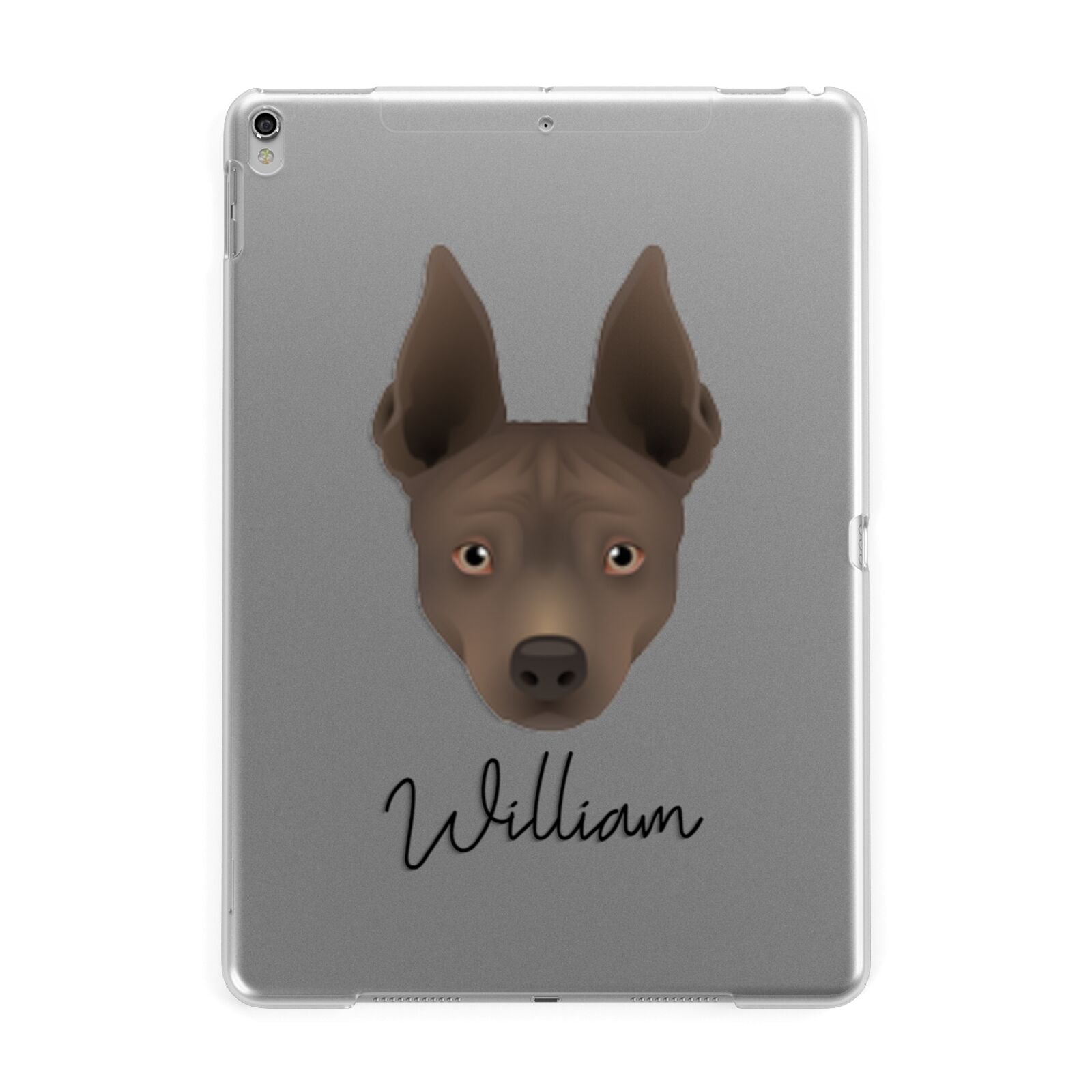 American Hairless Terrier Personalised Apple iPad Silver Case