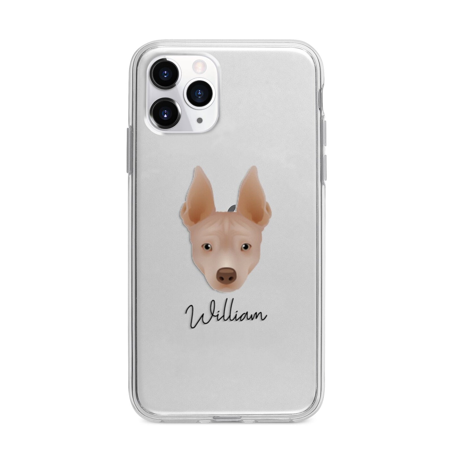 American Hairless Terrier Personalised Apple iPhone 11 Pro Max in Silver with Bumper Case