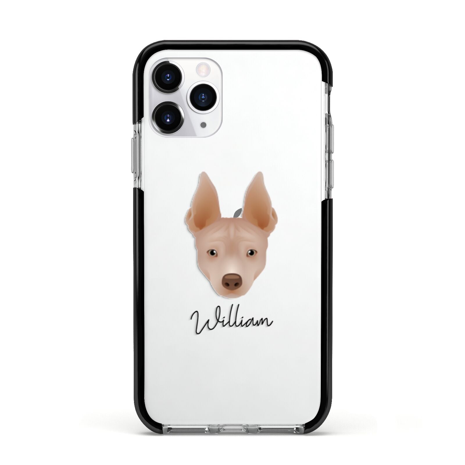 American Hairless Terrier Personalised Apple iPhone 11 Pro in Silver with Black Impact Case