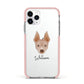 American Hairless Terrier Personalised Apple iPhone 11 Pro in Silver with Pink Impact Case