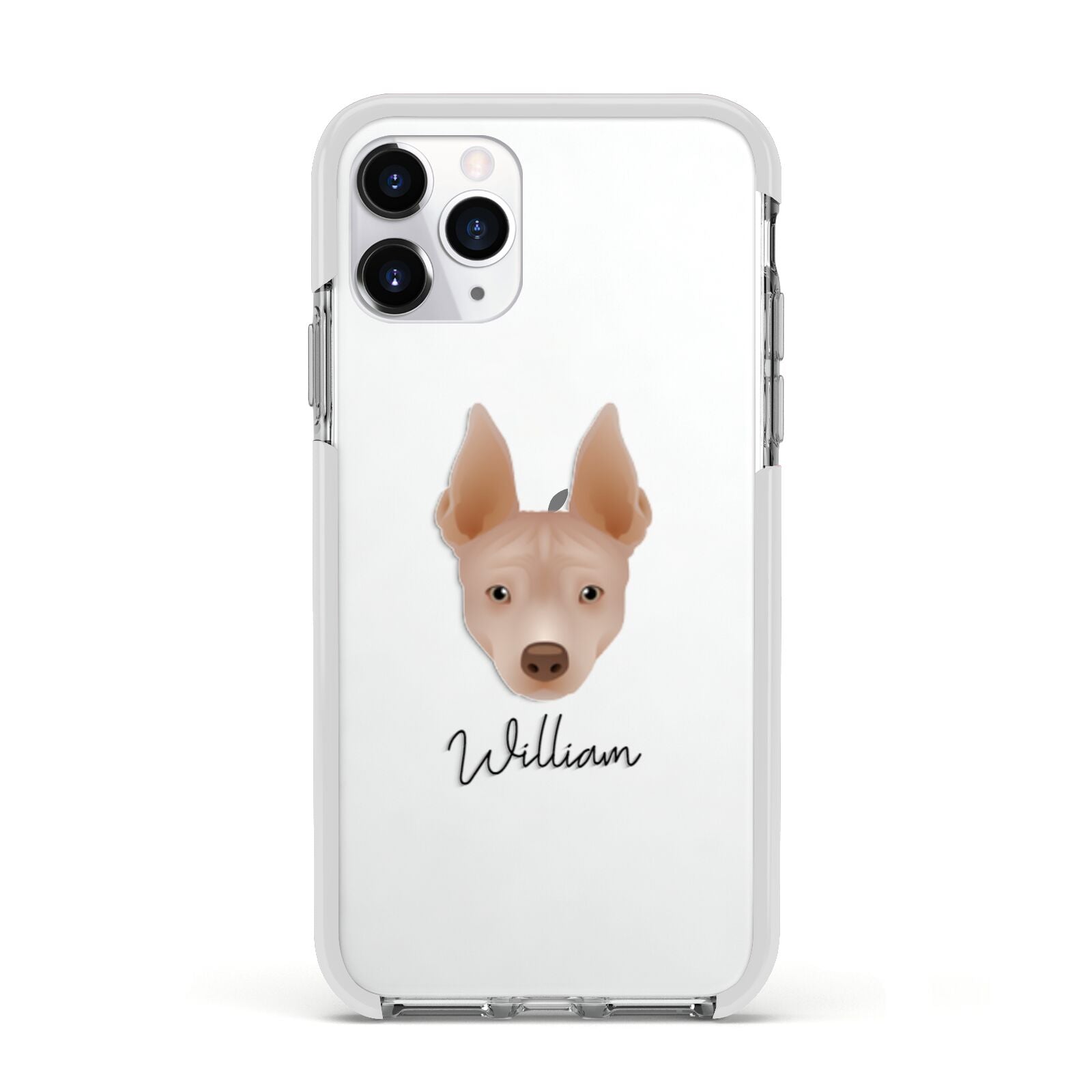 American Hairless Terrier Personalised Apple iPhone 11 Pro in Silver with White Impact Case