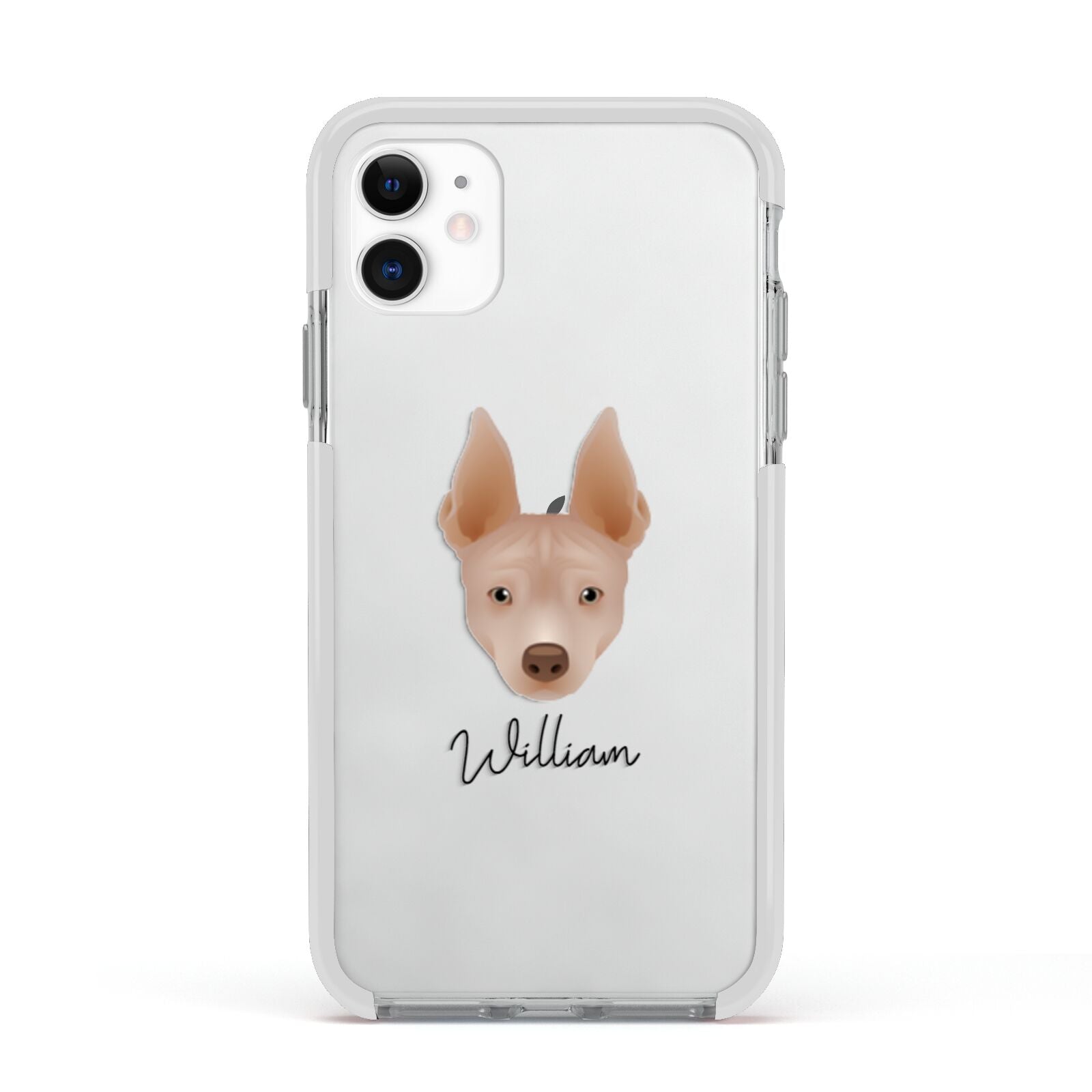 American Hairless Terrier Personalised Apple iPhone 11 in White with White Impact Case