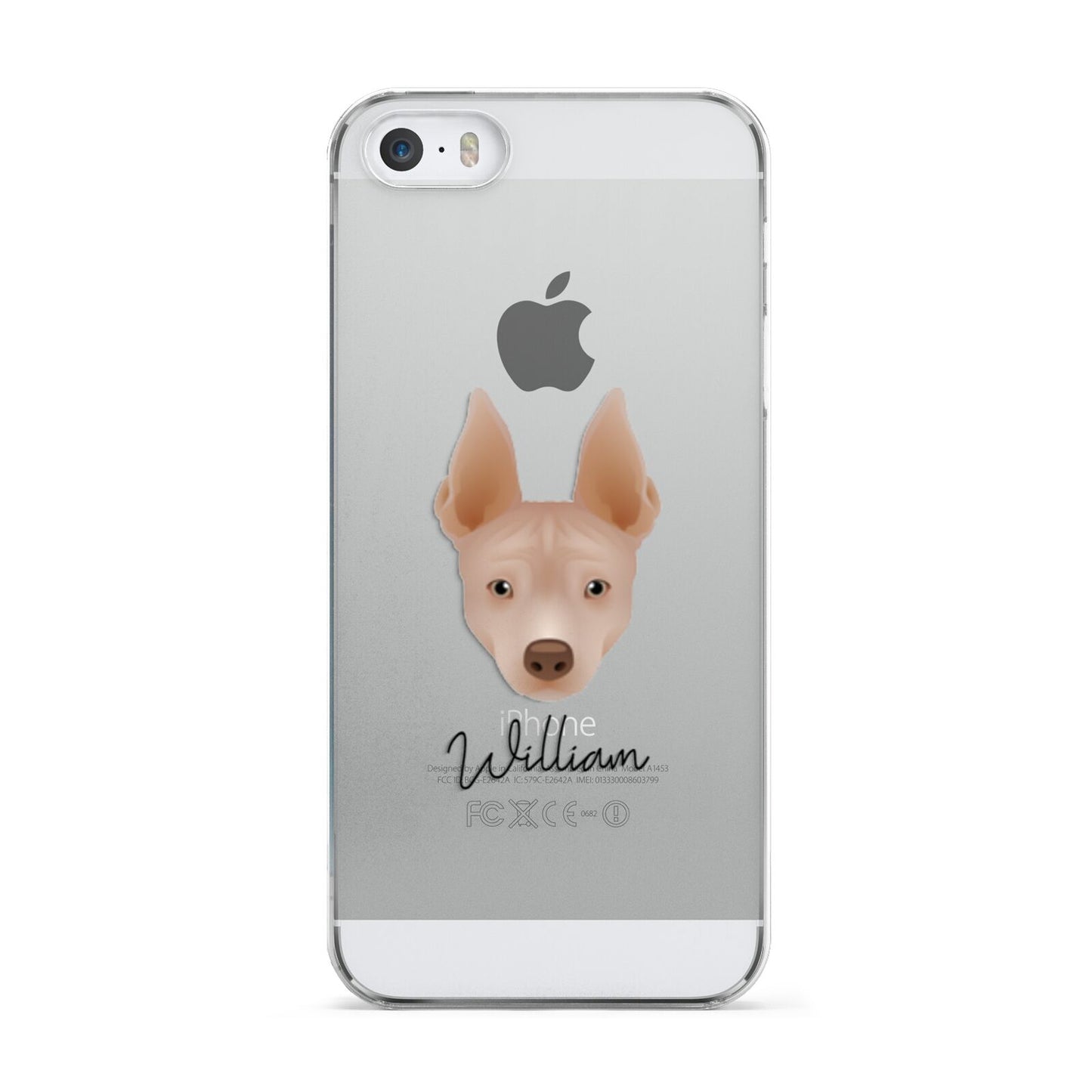American Hairless Terrier Personalised Apple iPhone 5 Case