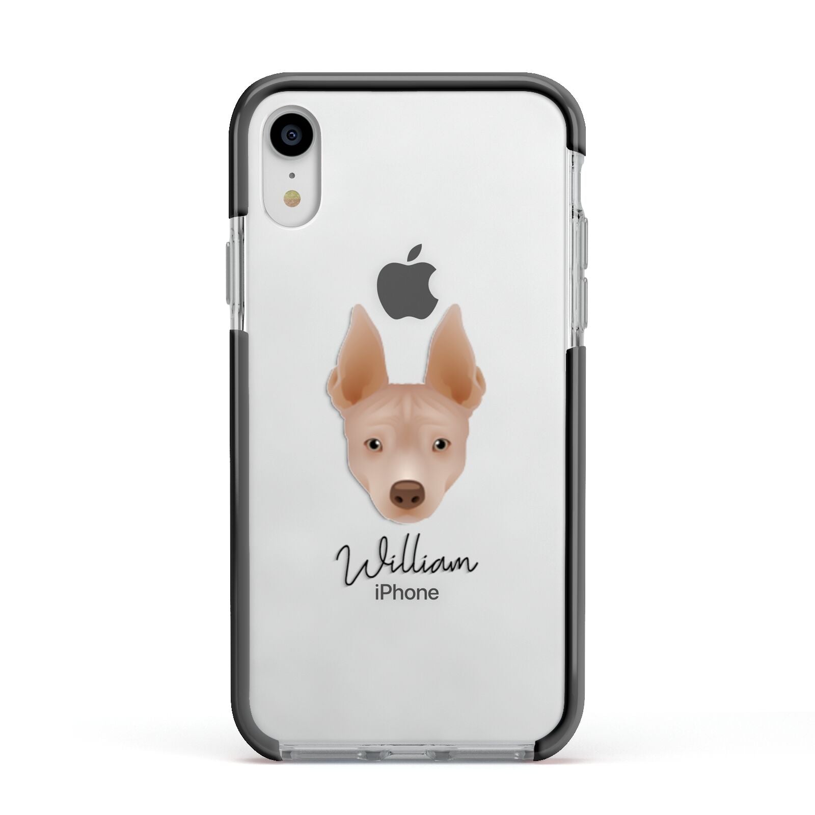 American Hairless Terrier Personalised Apple iPhone XR Impact Case Black Edge on Silver Phone
