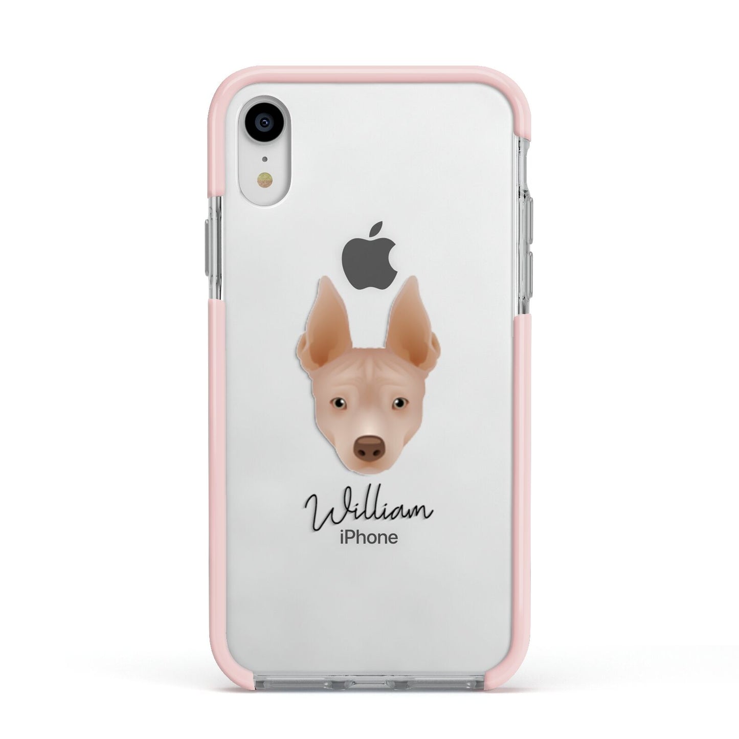 American Hairless Terrier Personalised Apple iPhone XR Impact Case Pink Edge on Silver Phone