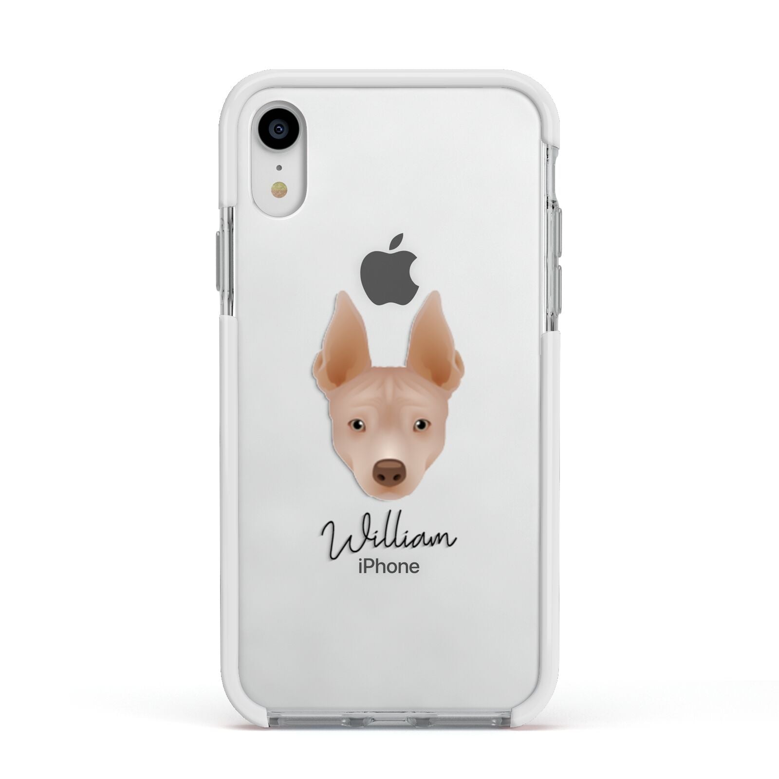 American Hairless Terrier Personalised Apple iPhone XR Impact Case White Edge on Silver Phone