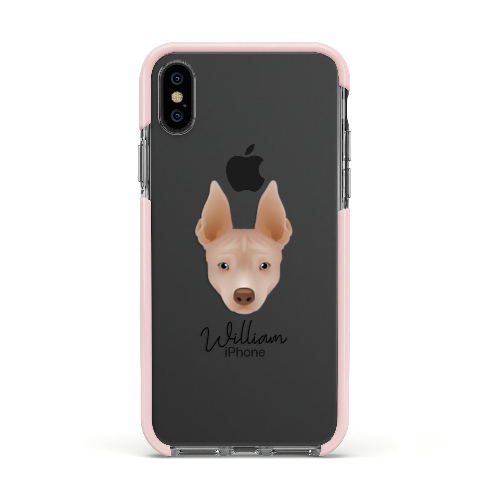 American Hairless Terrier Personalised Apple iPhone Xs Impact Case Pink Edge on Black Phone