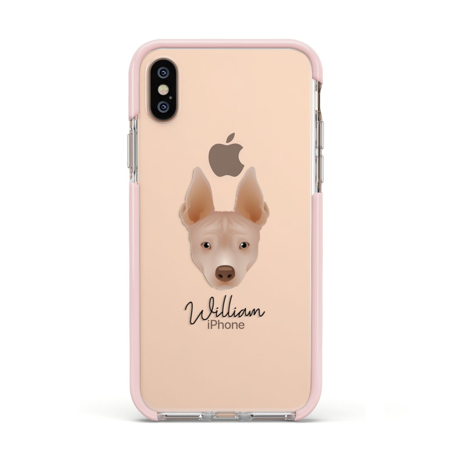 American Hairless Terrier Personalised Apple iPhone Xs Impact Case Pink Edge on Gold Phone