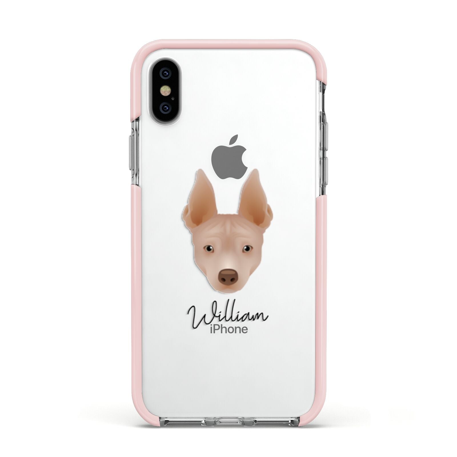 American Hairless Terrier Personalised Apple iPhone Xs Impact Case Pink Edge on Silver Phone