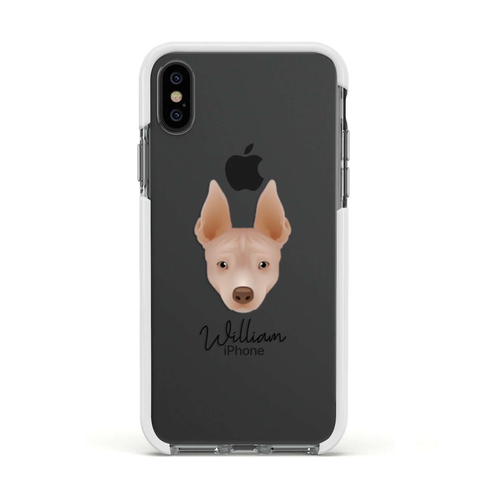 American Hairless Terrier Personalised Apple iPhone Xs Impact Case White Edge on Black Phone