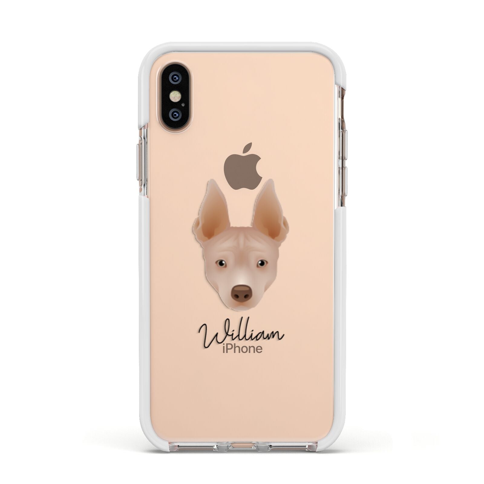 American Hairless Terrier Personalised Apple iPhone Xs Impact Case White Edge on Gold Phone