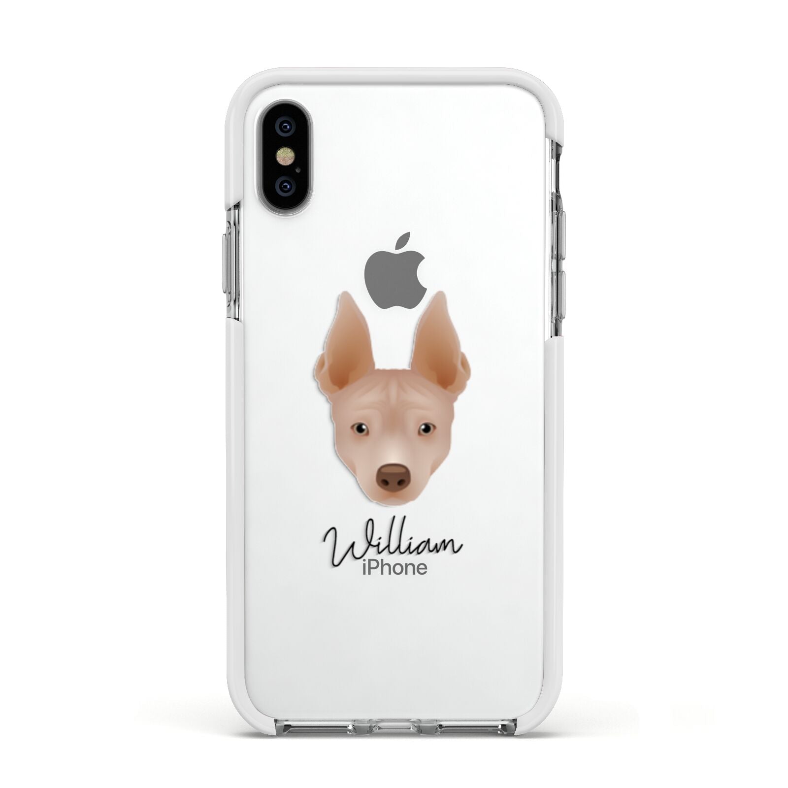 American Hairless Terrier Personalised Apple iPhone Xs Impact Case White Edge on Silver Phone
