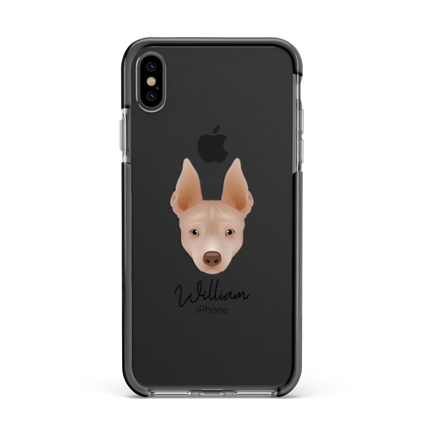 American Hairless Terrier Personalised Apple iPhone Xs Max Impact Case Black Edge on Black Phone