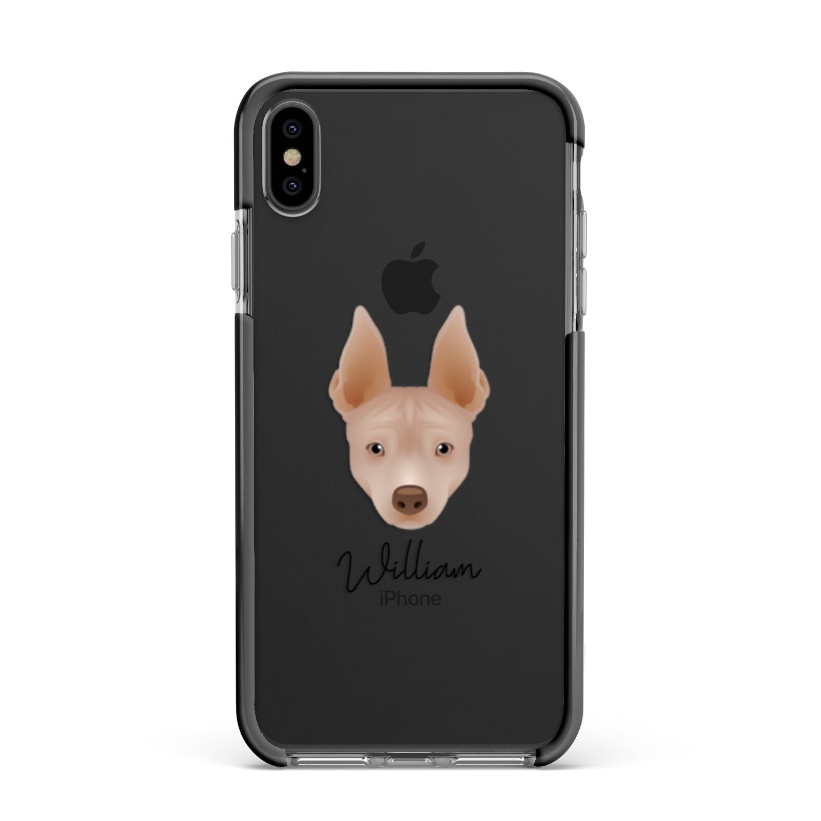 American Hairless Terrier Personalised Apple iPhone Xs Max Impact Case Black Edge on Black Phone