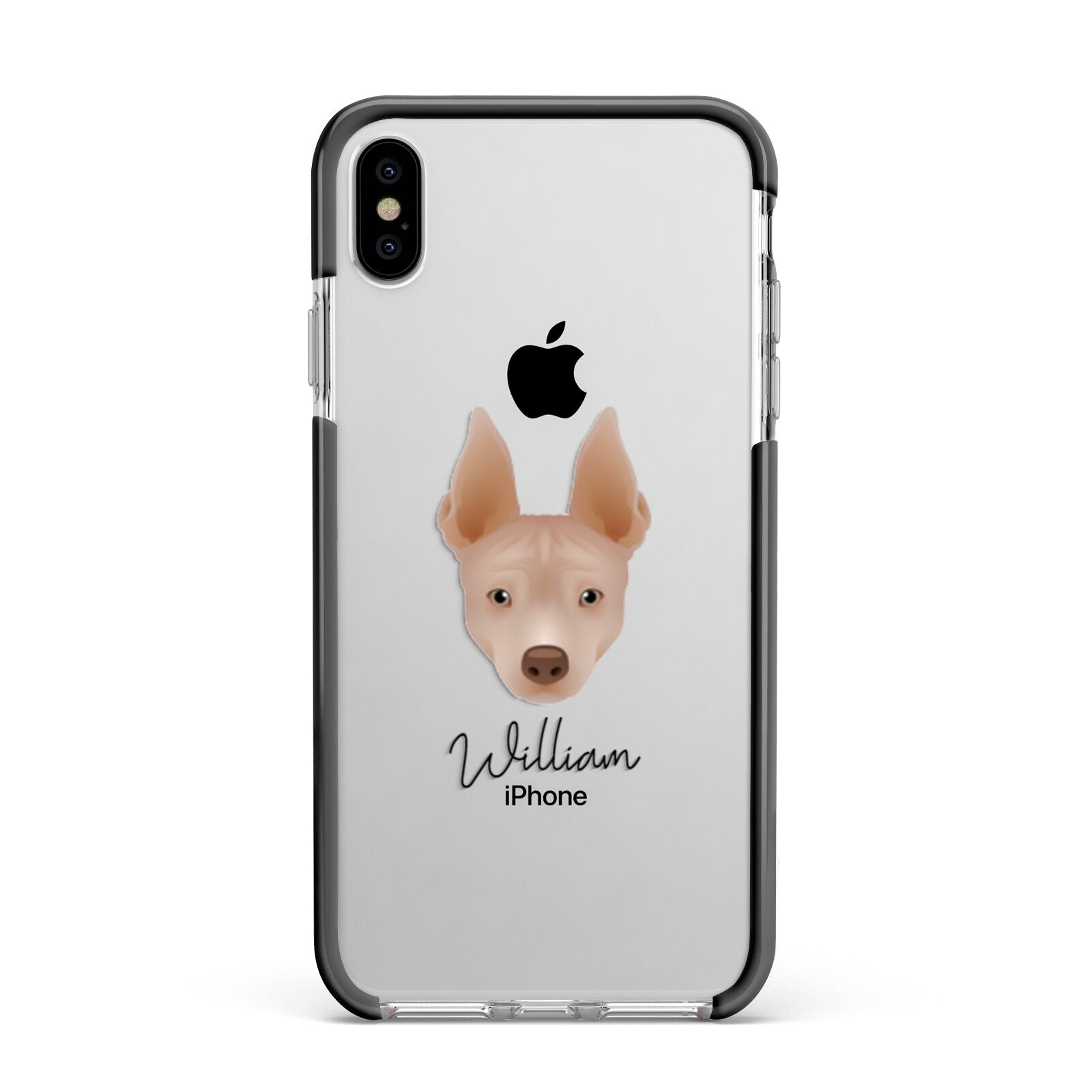 American Hairless Terrier Personalised Apple iPhone Xs Max Impact Case Black Edge on Silver Phone