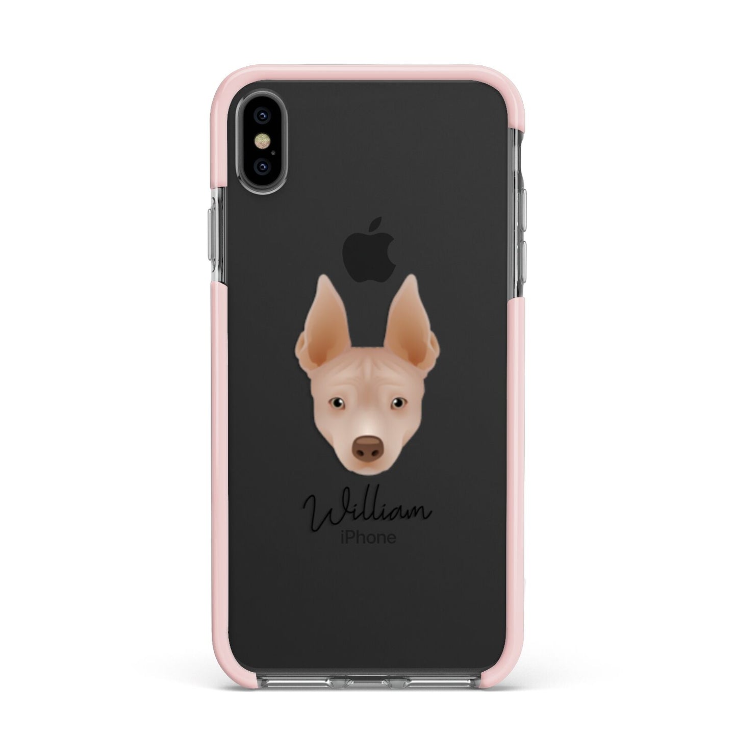 American Hairless Terrier Personalised Apple iPhone Xs Max Impact Case Pink Edge on Black Phone