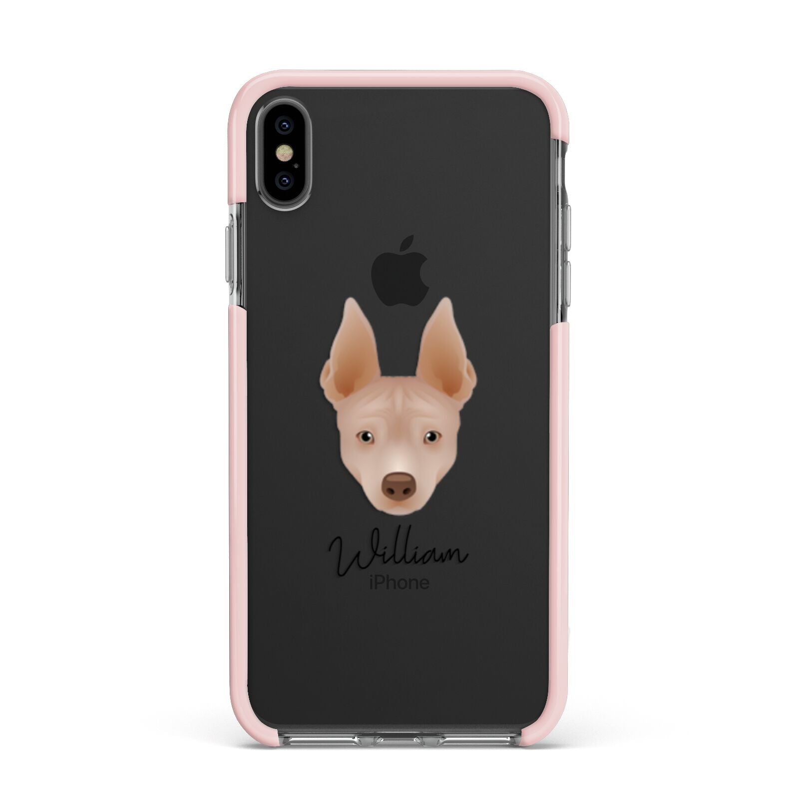 American Hairless Terrier Personalised Apple iPhone Xs Max Impact Case Pink Edge on Black Phone