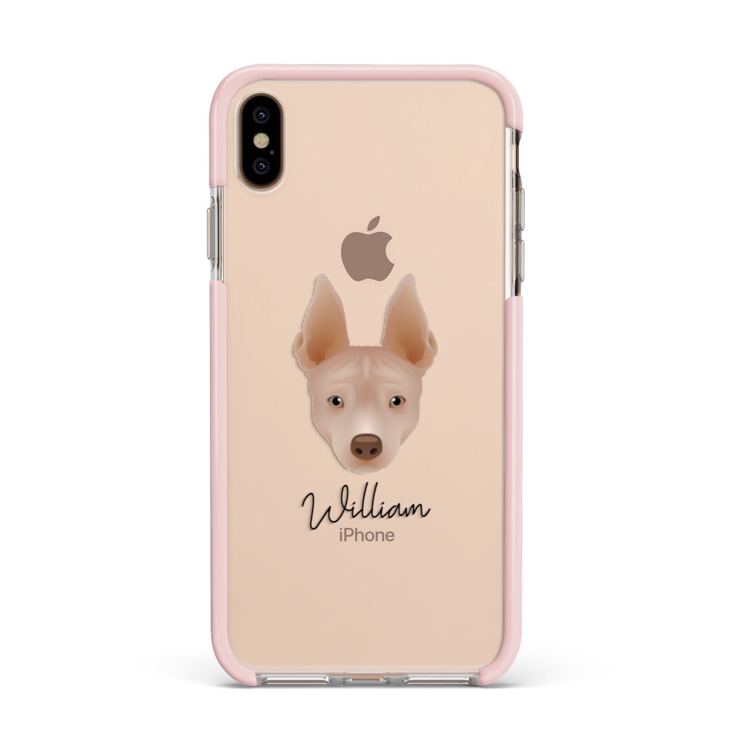 American Hairless Terrier Personalised Apple iPhone Xs Max Impact Case Pink Edge on Gold Phone