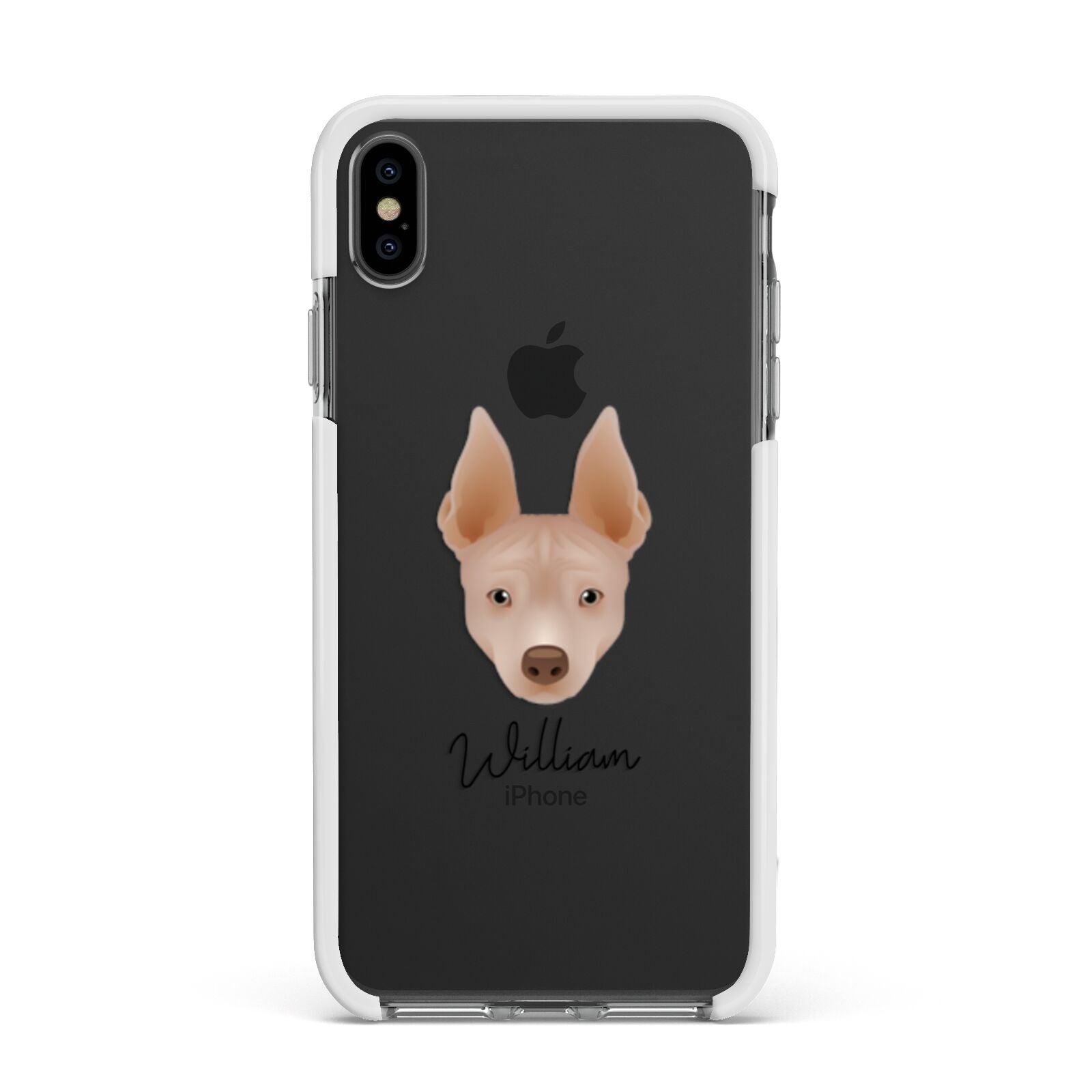 American Hairless Terrier Personalised Apple iPhone Xs Max Impact Case White Edge on Black Phone