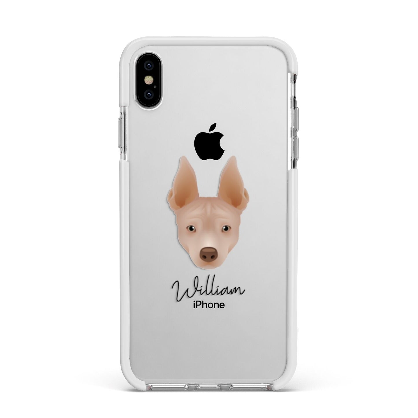 American Hairless Terrier Personalised Apple iPhone Xs Max Impact Case White Edge on Silver Phone