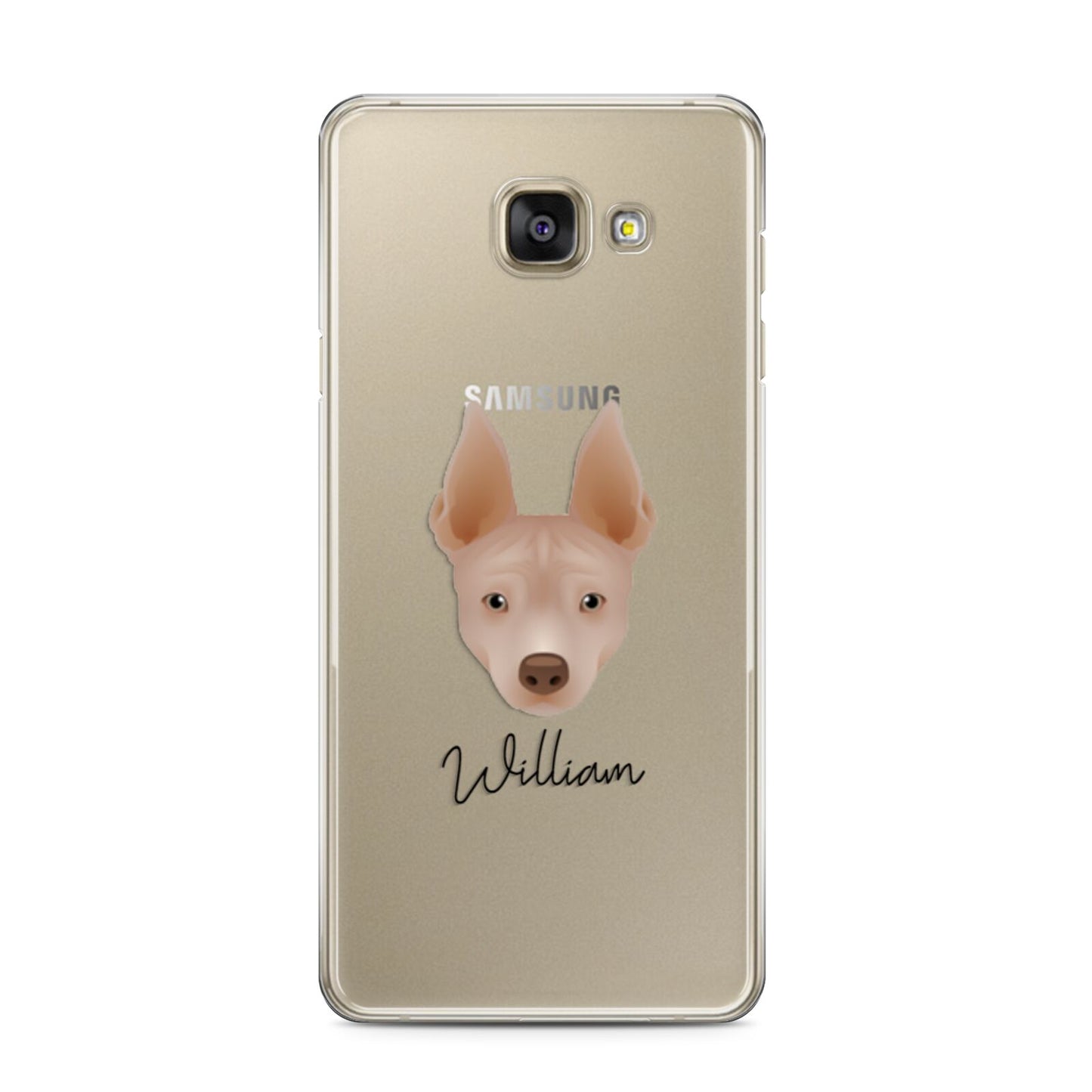 American Hairless Terrier Personalised Samsung Galaxy A3 2016 Case on gold phone