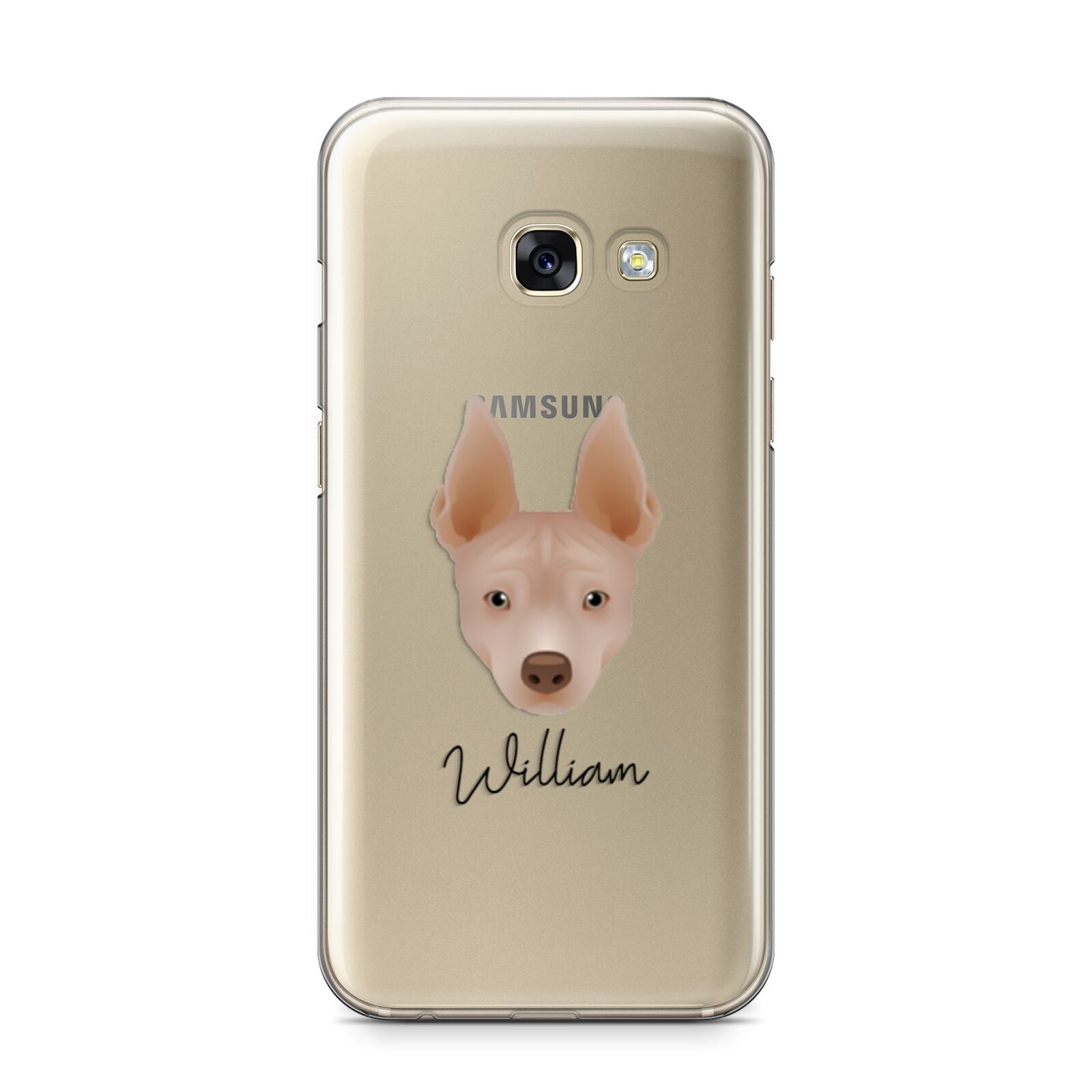 American Hairless Terrier Personalised Samsung Galaxy A3 2017 Case on gold phone