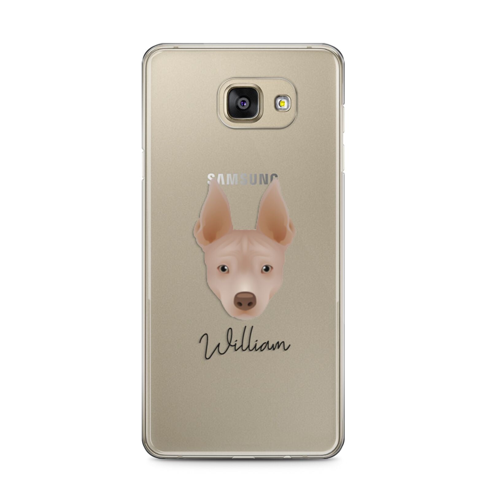 American Hairless Terrier Personalised Samsung Galaxy A5 2016 Case on gold phone