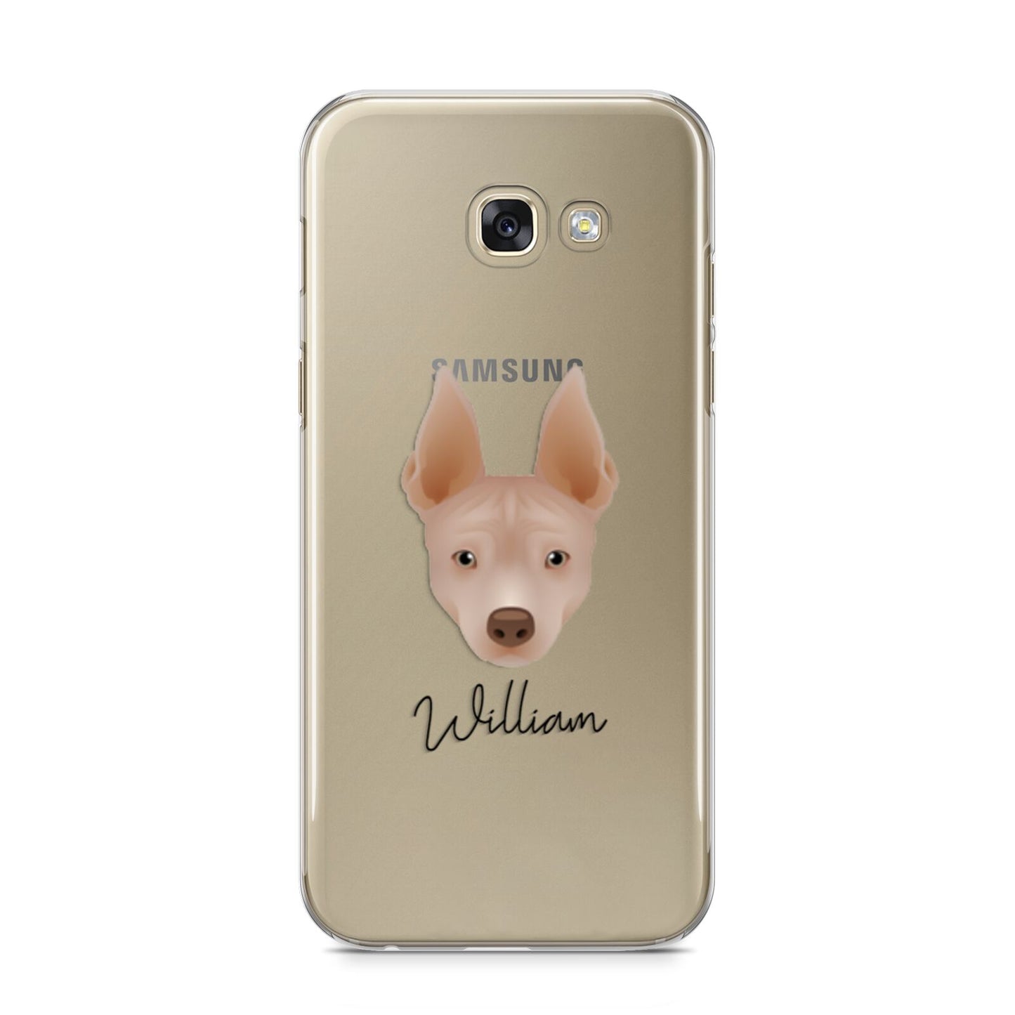 American Hairless Terrier Personalised Samsung Galaxy A5 2017 Case on gold phone