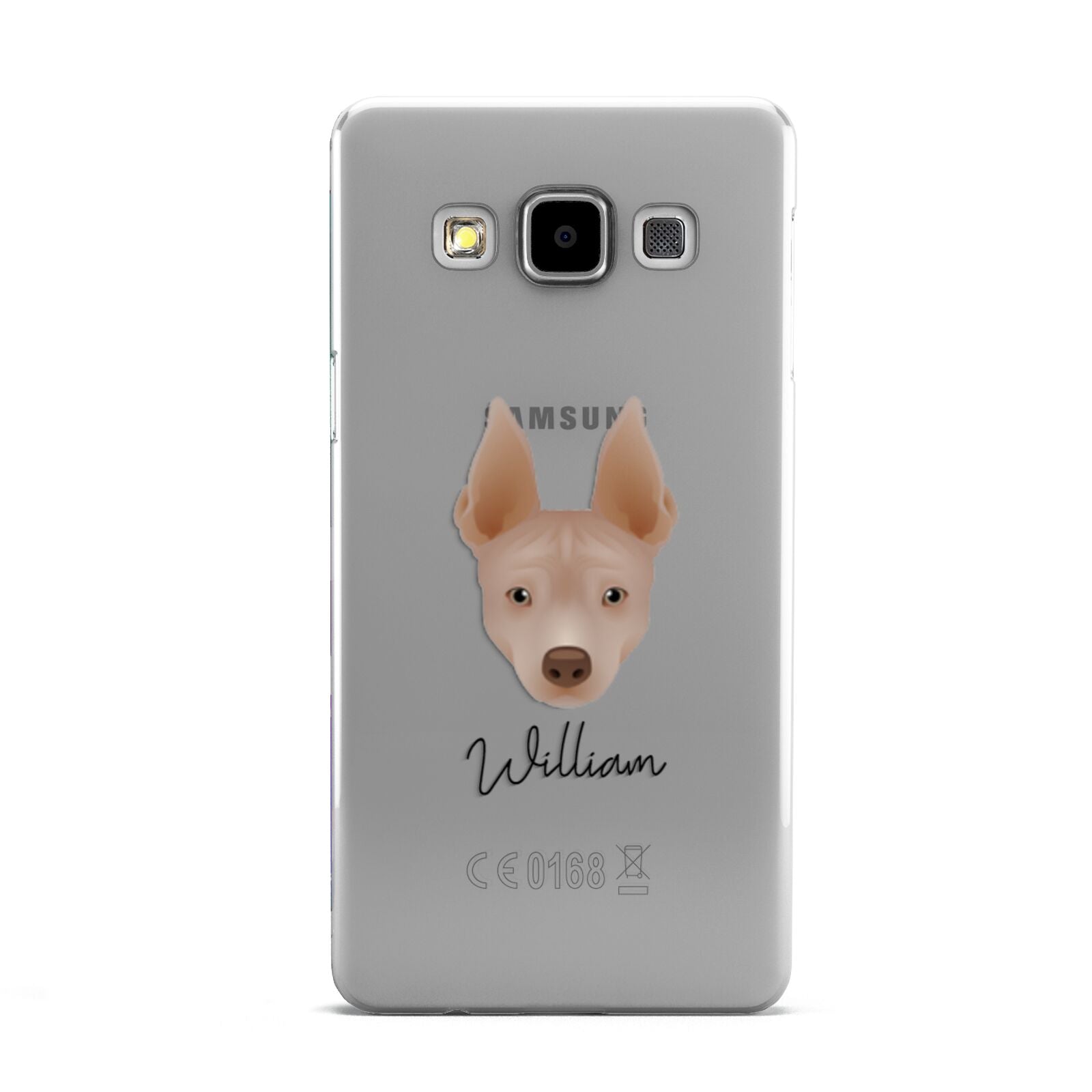 American Hairless Terrier Personalised Samsung Galaxy A5 Case
