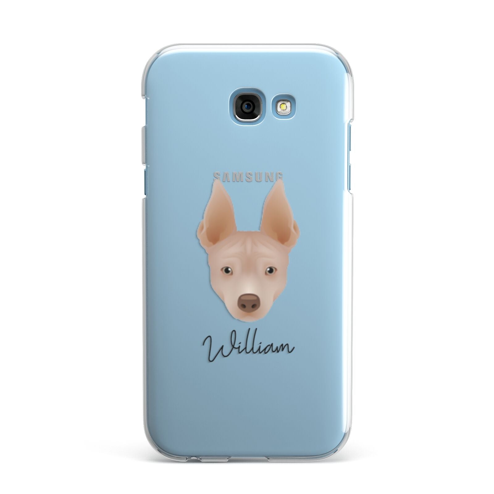 American Hairless Terrier Personalised Samsung Galaxy A7 2017 Case