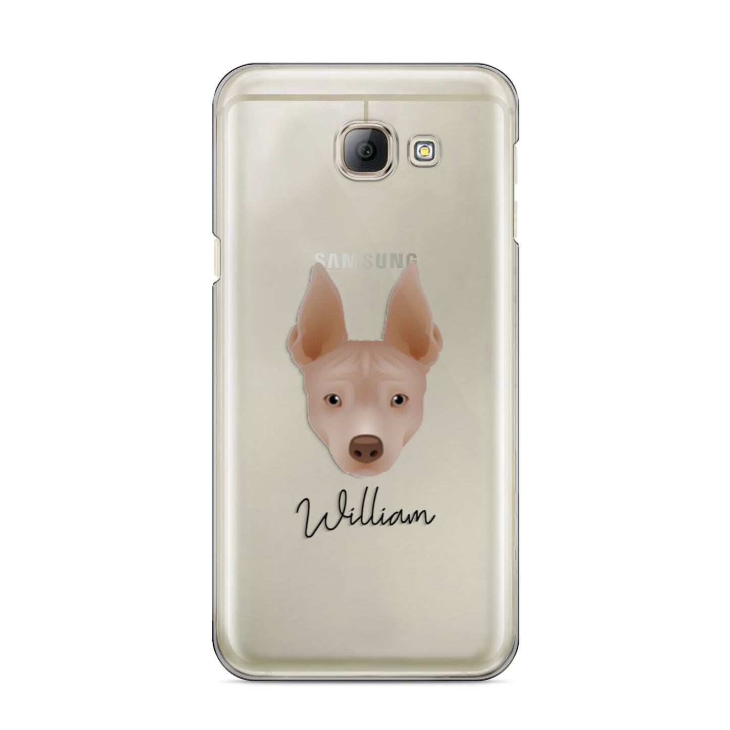 American Hairless Terrier Personalised Samsung Galaxy A8 2016 Case