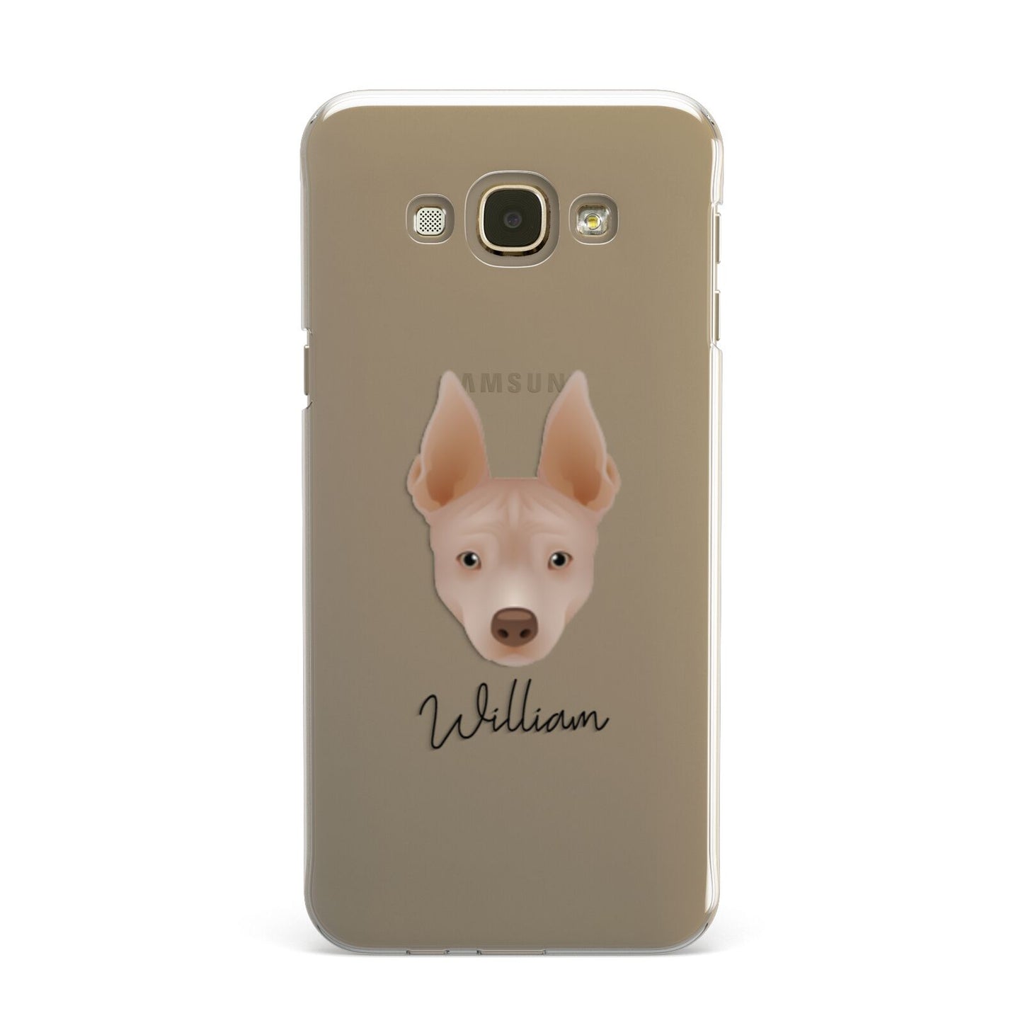 American Hairless Terrier Personalised Samsung Galaxy A8 Case